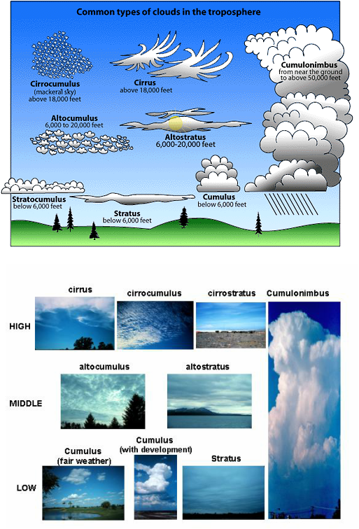 Bonus Lessons! - Let's Learn Weather Together! A website for teachers ...